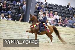 23R13_05625 thumbnail
