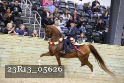 23R13_05626 thumbnail