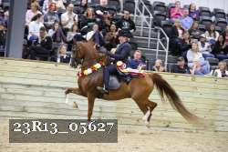 23R13_05627 thumbnail