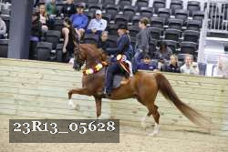 23R13_05628 thumbnail