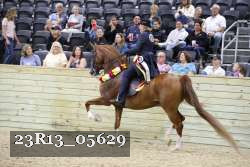 23R13_05629 thumbnail