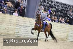 23R13_05630 thumbnail