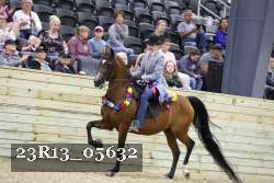 23R13_05632 thumbnail