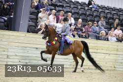 23R13_05633 thumbnail