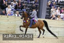 23R13_05634 thumbnail