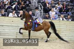 23R13_05635 thumbnail