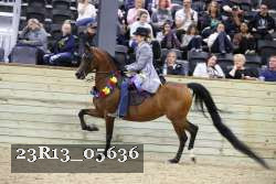 23R13_05636 thumbnail