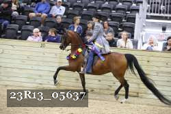 23R13_05637 thumbnail