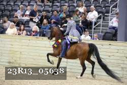 23R13_05638 thumbnail