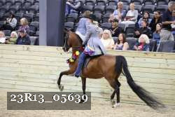 23R13_05639 thumbnail