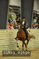 23R13_05650 thumbnail