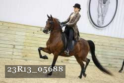 23R13_05688 thumbnail
