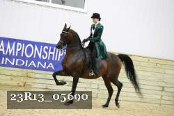 23R13_05690 thumbnail