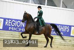 23R13_05691 thumbnail