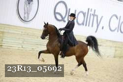 23R13_05692 thumbnail