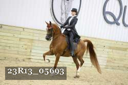 23R13_05693 thumbnail