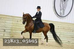23R13_05695 thumbnail