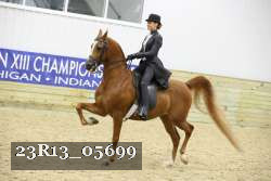 23R13_05699 thumbnail