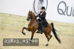 23R13_05700 thumbnail