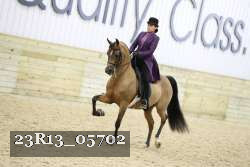 23R13_05702 thumbnail