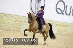 23R13_05703 thumbnail