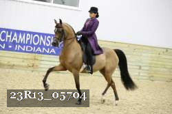 23R13_05704 thumbnail