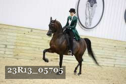 23R13_05705 thumbnail