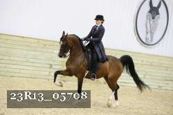 23R13_05708 thumbnail