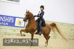 23R13_05709 thumbnail