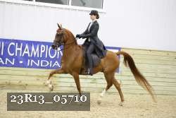 23R13_05710 thumbnail
