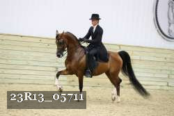 23R13_05711 thumbnail