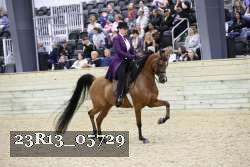 23R13_05729 thumbnail