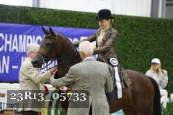 23R13_05733 thumbnail