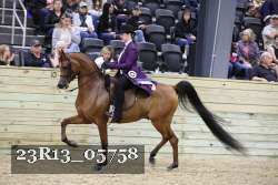 23R13_05758 thumbnail