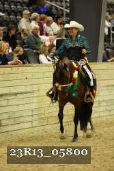 23R13_05800 thumbnail