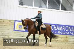 23R13_05809 thumbnail