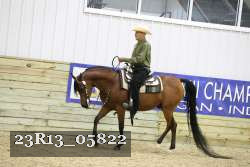23R13_05822 thumbnail