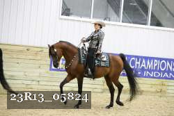 23R13_05824 thumbnail
