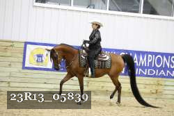 23R13_05839 thumbnail