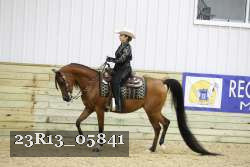 23R13_05841 thumbnail