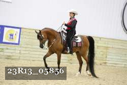 23R13_05856 thumbnail