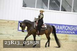 23R13_05858 thumbnail