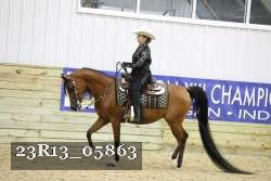 23R13_05863 thumbnail