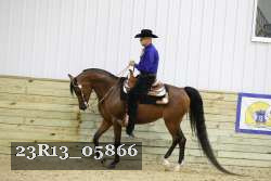 23R13_05866 thumbnail