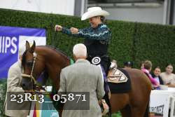 23R13_05871 thumbnail