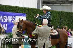 23R13_05872 thumbnail