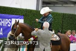 23R13_05873 thumbnail