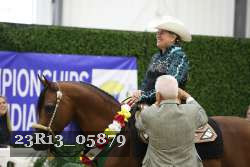 23R13_05879 thumbnail