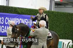 23R13_05883 thumbnail
