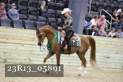 23R13_05891 thumbnail